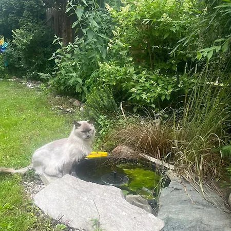 Apartmán Magiczny Zakatek