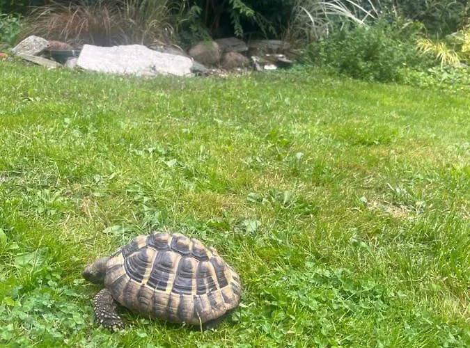 Magiczny Zakatek Apartament *