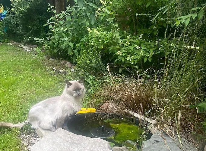 Apartament Magiczny Zakatek