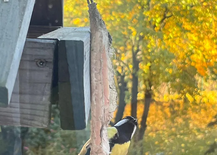 Apartament Magiczny Zakatek