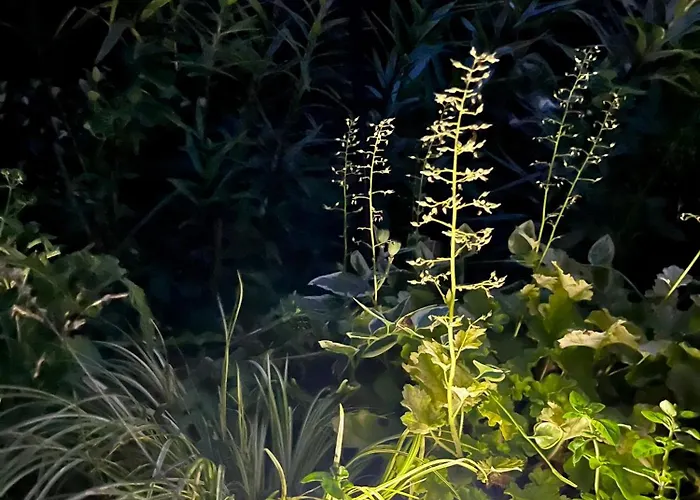 Magiczny Zakatek * Chojnice